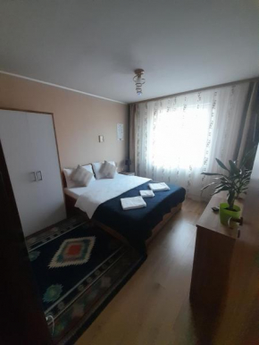 Lujerului Apartament